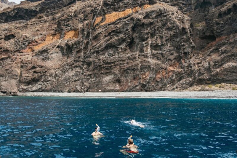 Costa Adeje: Whale & Dolphin Eco-Cruise with Snacks & Drinks - Going Beyond the Surface: A Deep Dive into the Experience