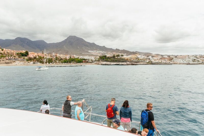 Costa Adeje: Whale & Dolphin Submarine Vision Mini Cruise - Key Points