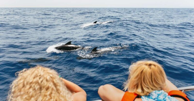 Costa Adeje: Whale Watching Catamaran Tour with Drinks - Final Thoughts: Is It Worth It?