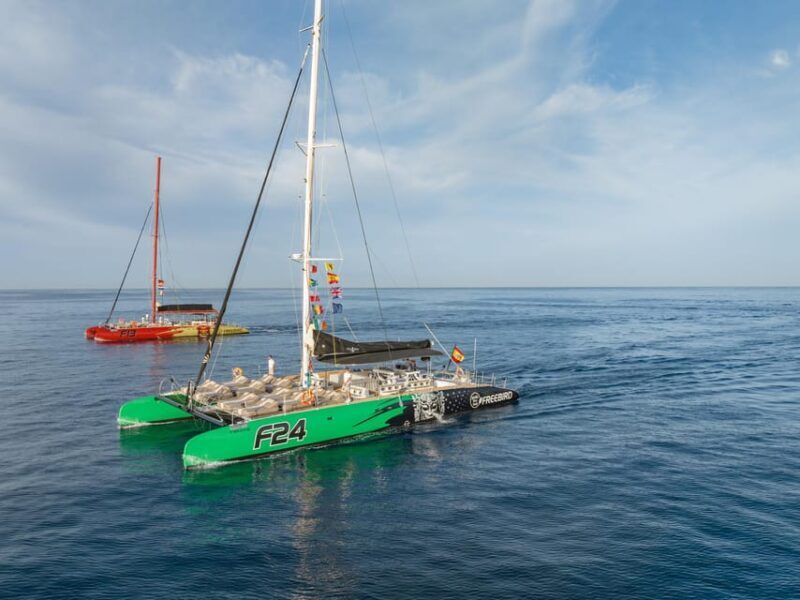 Costa Adeje: Whale Watching Cruise with Snack and Drinks - Overview of the Experience