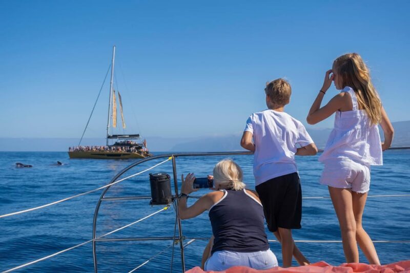 Costa Adeje: Whale Watching Cruise with Snack and Drinks - Final Thoughts: Is This Tour Worth It?