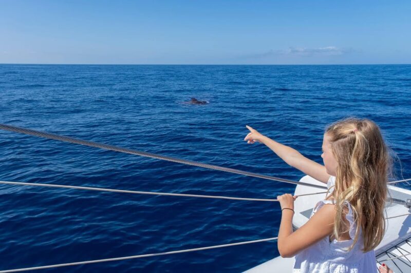 Costa Adeje: Whale Watching Cruise with Snack and Drinks - FAQ