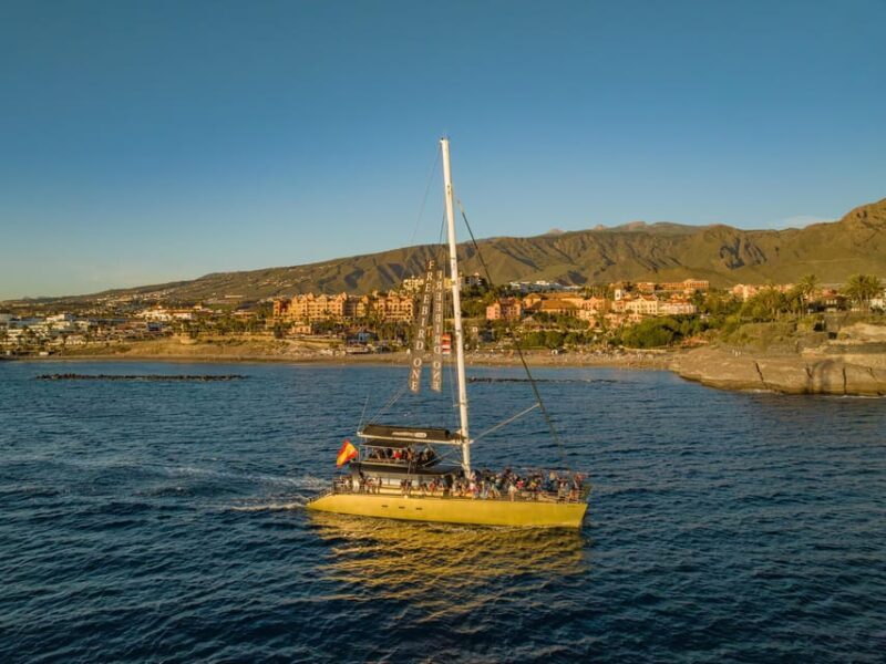 Costa Adeje: Whale Watching Cruise with Snack and Drinks - Final Words