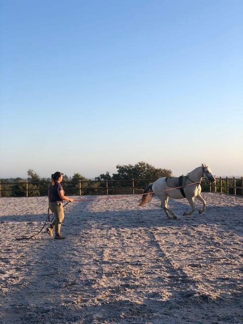 Costa Alentejana: Horse tour in Serra de Grândola - The Experience: What You Can Expect