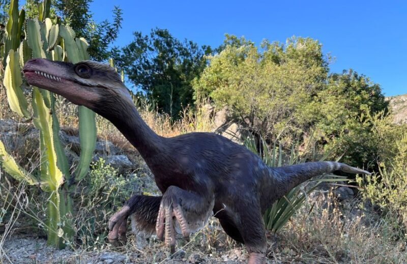 Costa Blanca: DinoPark Algar Entry Ticket - Key Points