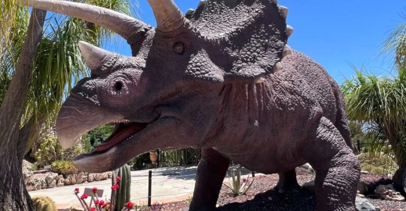 Costa Blanca: DinoPark Algar Entry Ticket - A Detailed Look at DinoPark Algar