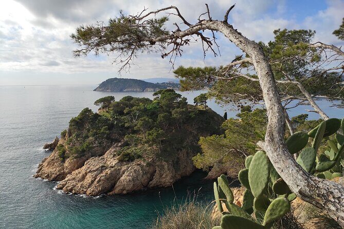 Costa Brava Coast Hike and Snorkel from Barcelona with Lunch - Who will love this tour?