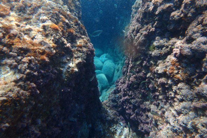 Costa Brava Day Adventure: Kayak, Snorkel & Cliff Jump with Lunch - Final Thoughts: Who Should Consider This Tour?