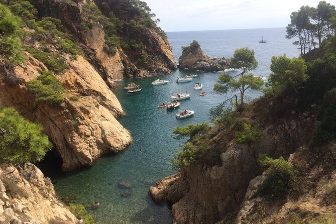 Costa Brava Scenic Hike & Tossa de Mar Small Group Tour - The Itinerary Breakdown: What to Expect