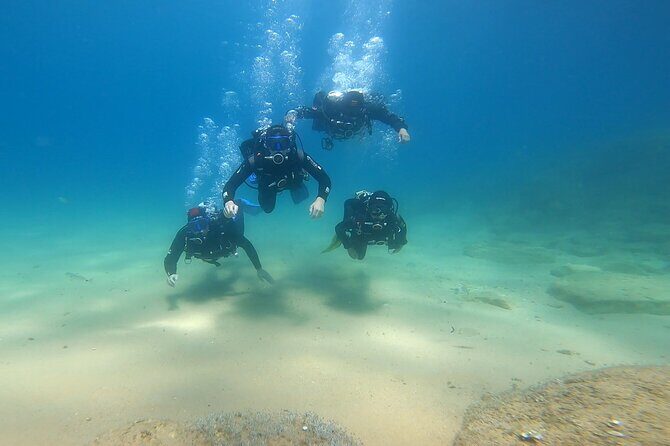 Costa Brava: Scuba Diving Tour, Lunch and a Visit to Tossa de Mar - What Makes This Tour Stand Out?