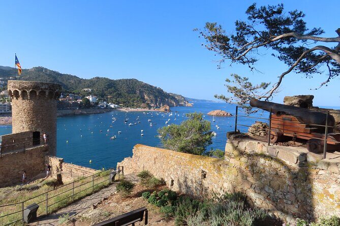 Costa Brava: Scuba Diving Tour, Lunch and a Visit to Tossa de Mar - Who Is This Tour Best Suited For?