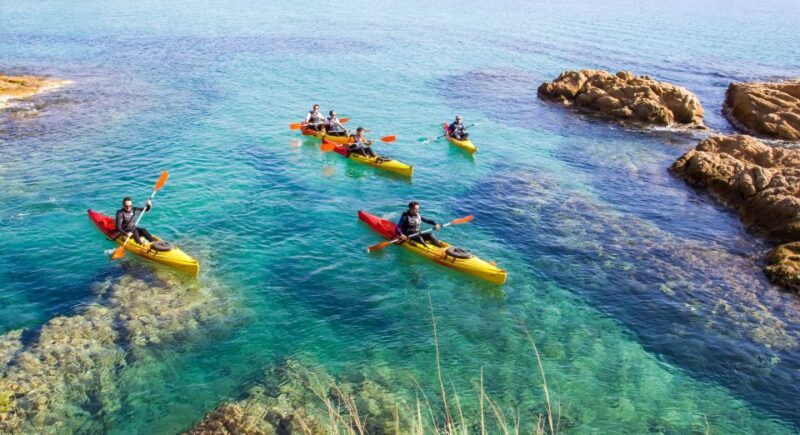 Costa Brava: Sea Caves Kayaking and Snorkeling Tour - Key Points