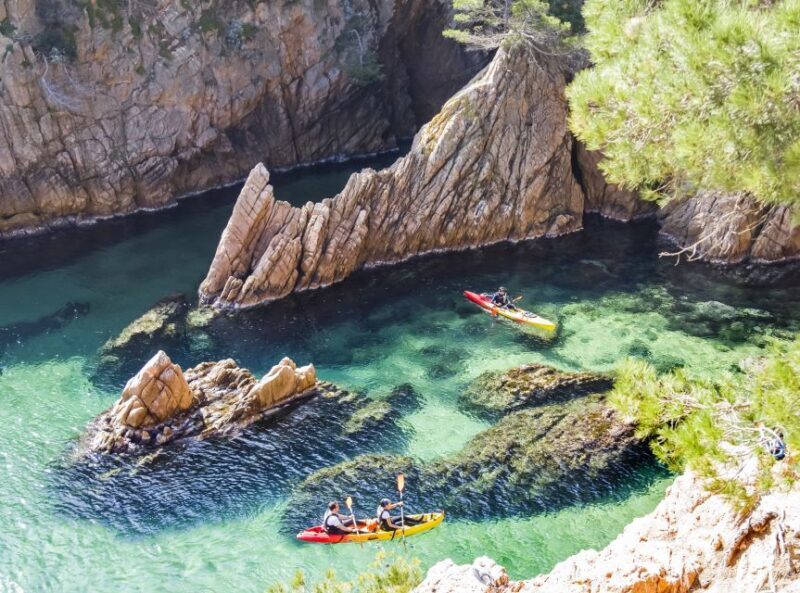 Costa Brava: Sea Caves Kayaking and Snorkeling Tour - An In-Depth Look at the Costa Brava Sea Caves Kayaking and Snorkeling Tour