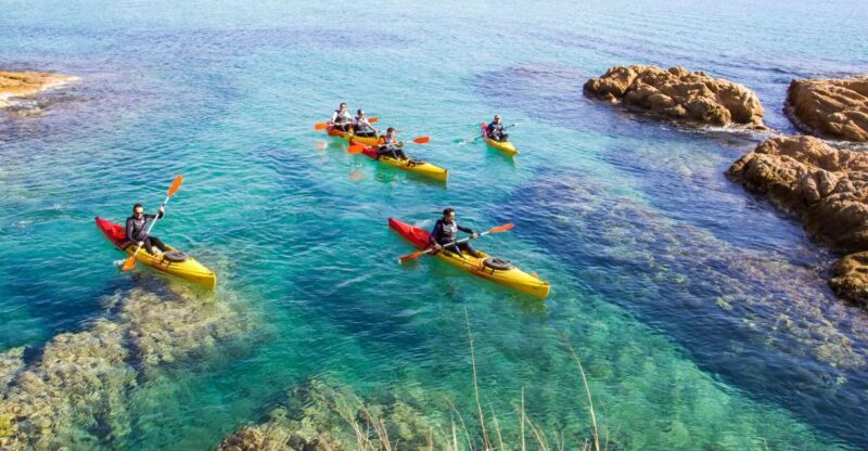 Costa Brava: Sea Caves Kayaking and Snorkeling Tour - Who Will Love This Tour?