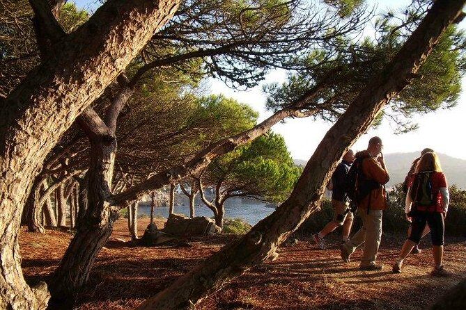 Costa Brava Small Group Hiking Tour from Barcelona - Following the Camino de Ronda