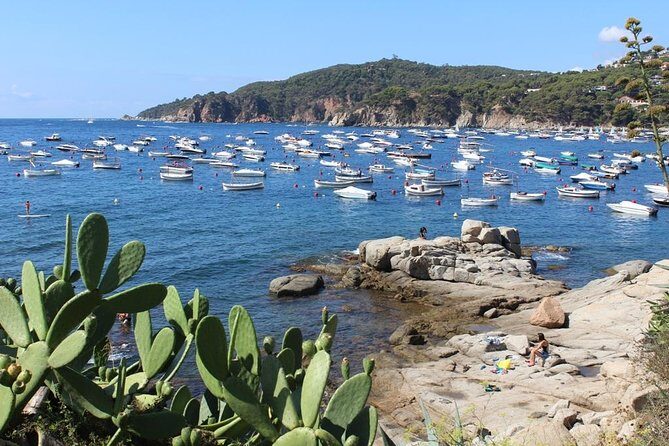 Costa Brava Typical Towns full day tour from Barcelona - What Makes This Tour Stand Out?