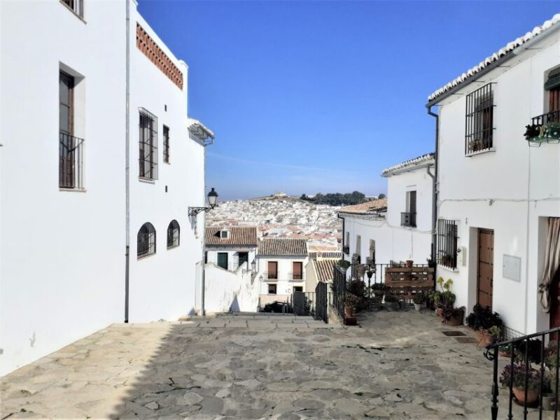 Costa del Sol: Private Tour to Antequera - Who Is This Tour Best Suited For?