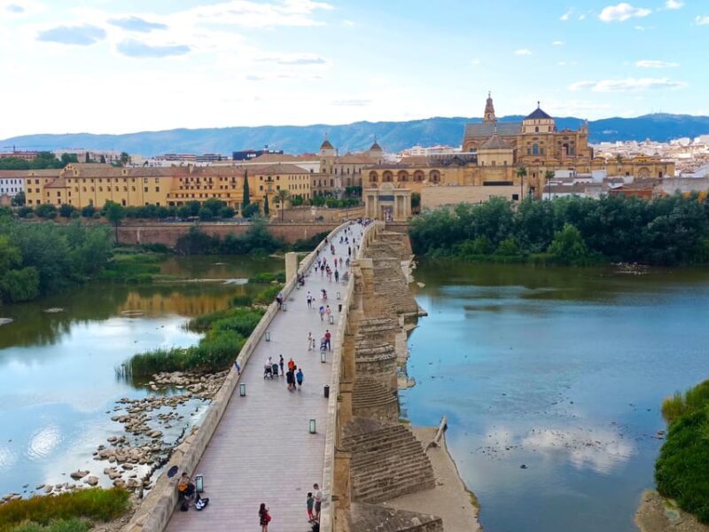 Costa del Sol: Private trip to Cordoba - Key Points