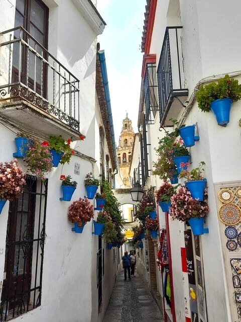 Costa del Sol: Private trip to Cordoba - Practical Tips for Making the Most of Your Trip