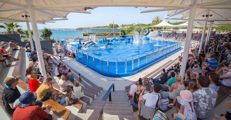 Costa d'en Blanes: Entry Ticket for Marineland Mallorca - Key Points