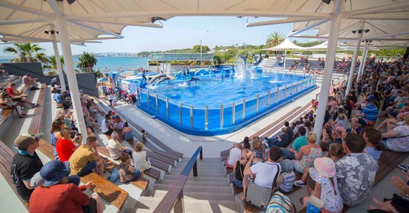 Costa d'en Blanes: Entry Ticket for Marineland Mallorca - A Full Breakdown of the Marineland Mallorca Experience