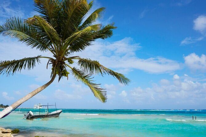 Costa Maya All Included Beach Break from Cruise Port - What Makes This Tour Stand Out