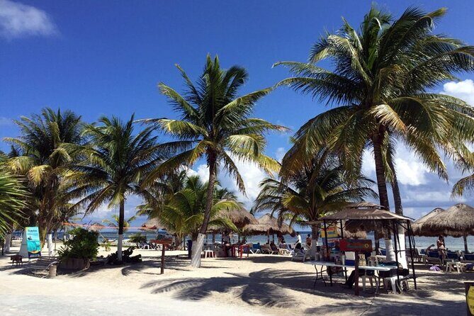 Costa Maya All Included Beach Break from Cruise Port - Practical Tips for Your Day