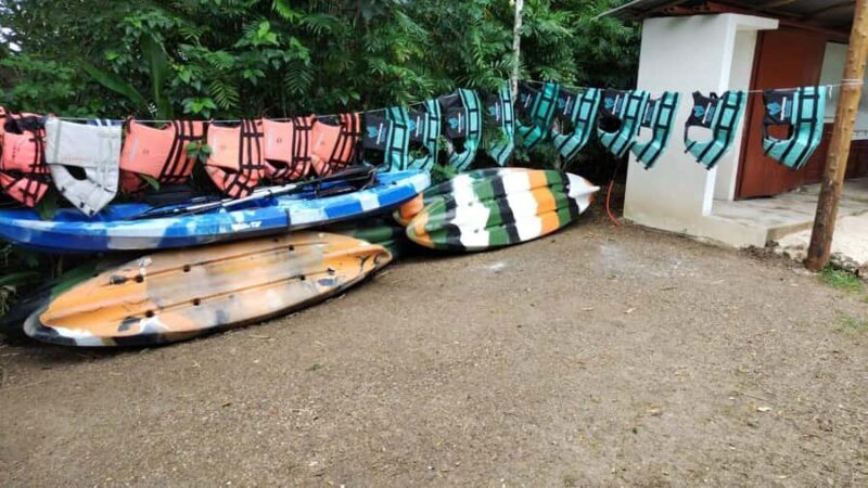 Costa Maya: Chacchoben Ruin, 7 Colors Lagoon Shore Excursion - The Experience of the Guide and the Views