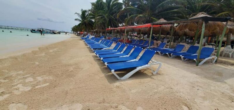 Costa Maya: Chacchoben Ruins Shore Excursion & Fruit Tasting - Practical Details and Logistics