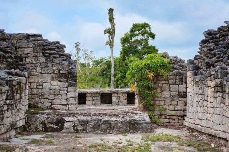 Costa Maya: Exclusive Kohunlich Ruins Premier Tour - An In-Depth Look at the Kohunlich Ruins Premier Tour