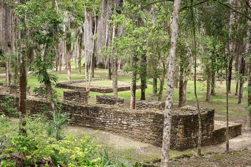 Costa Maya: Exclusive Kohunlich Ruins Premier Tour - Who Will Love This Tour?
