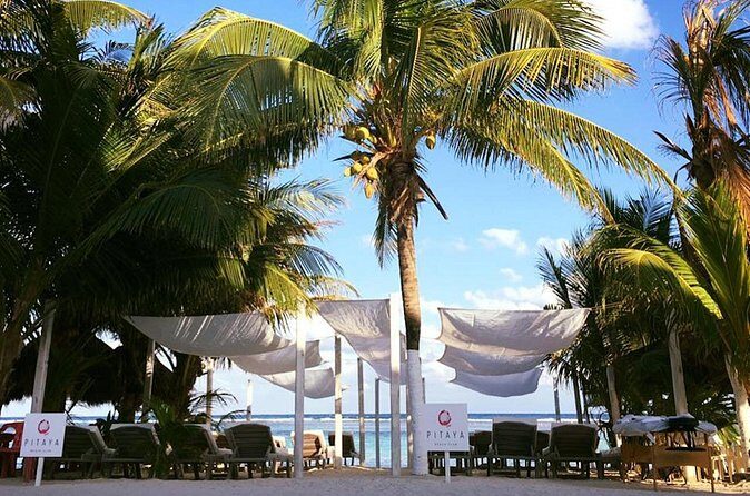 Costa Maya - Pitaya Beach Open Bar, Snorkeling, Massage and Lunch - Final Words