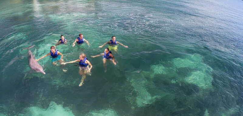 Costa Mujeres: Swim with Dolphins - Key Points