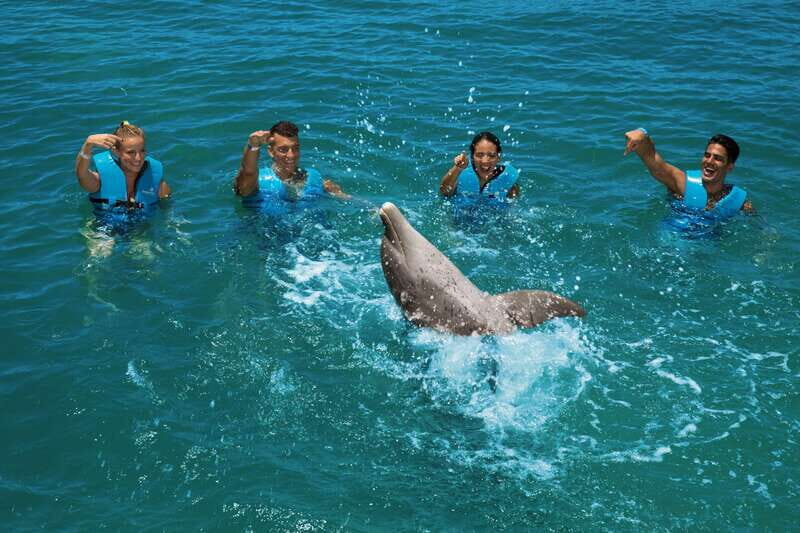 Costa Mujeres: Swim with Dolphins - FAQ