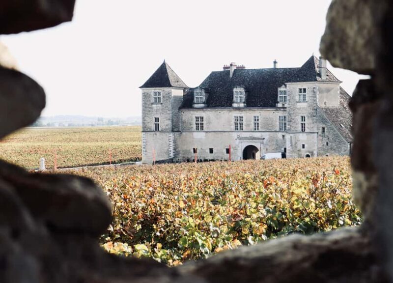 Côte de Beaune and Côte de Nuits : Private Full day Winetour - Key Points