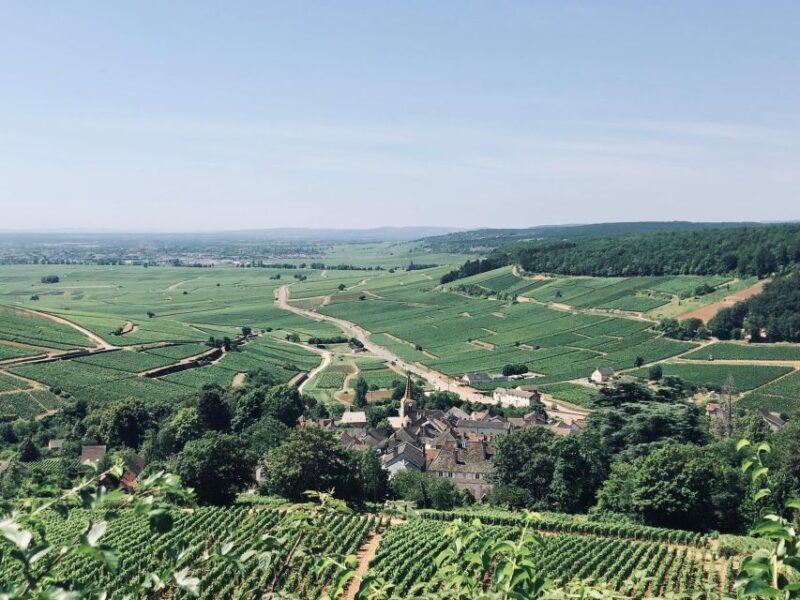 Côte de Beaune and Côte de Nuits : Private Full day Winetour - Frequently Asked Questions