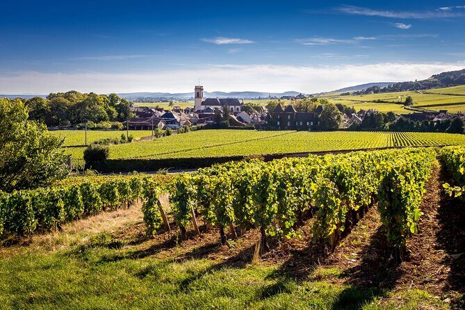 Côte de Beaune Half-Day Wine Tour from Dijon - Frequently Asked Questions