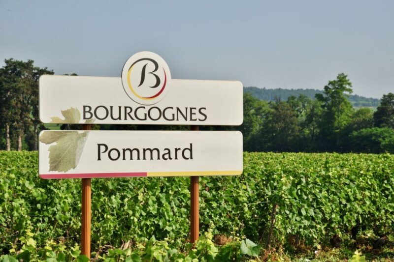 Côte de Beaune Private Local Wineries and Wine Tasting Tour - A Closer Look at the Itinerary and Highlights