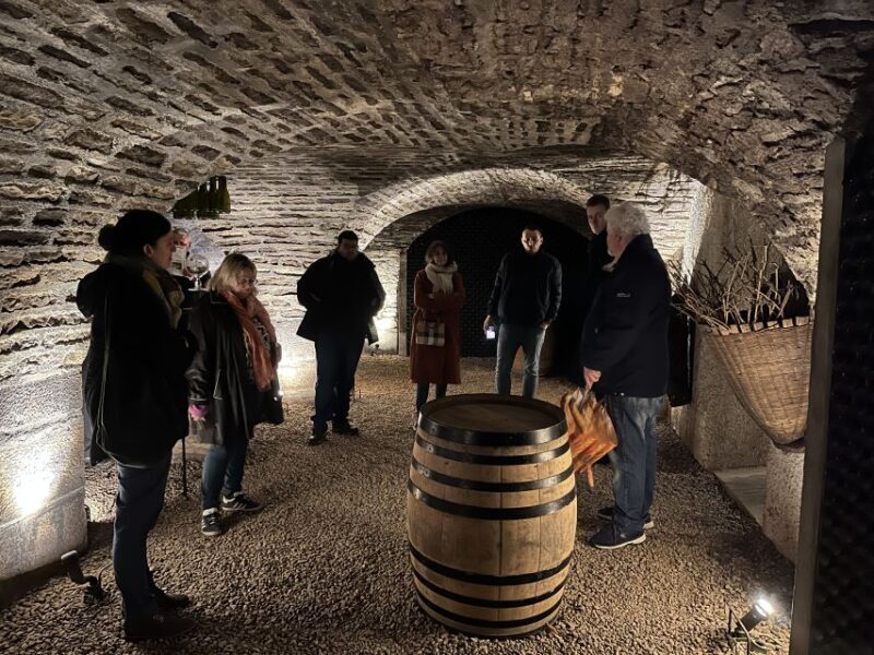 Côte de Beaune Private Local Wineries and Wine Tasting Tour - Who Should Consider This Tour?