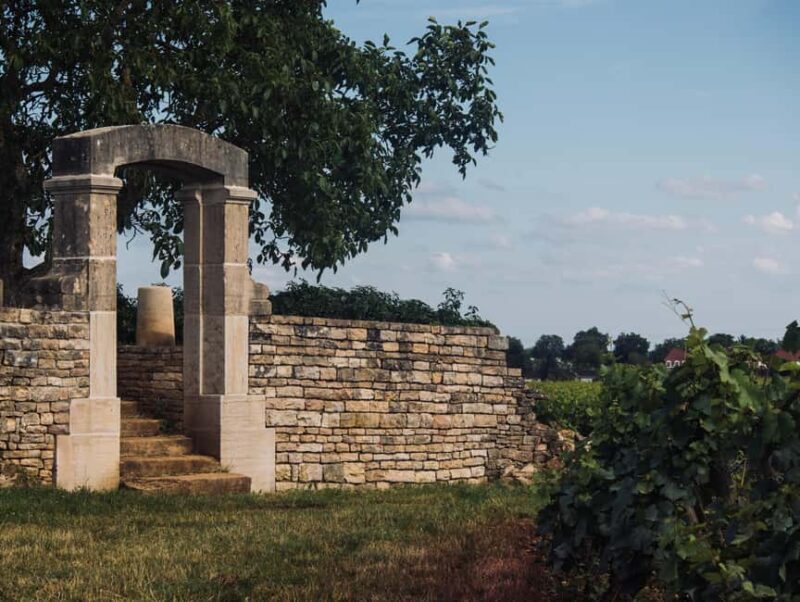 Côte de Nuits: Excursion in the heart of the vineyards - Key Points