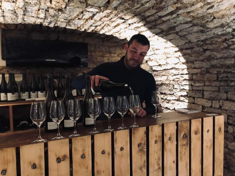 Côte de Nuits: Excursion in the heart of the vineyards - Authenticity vs. Over-Commercialization