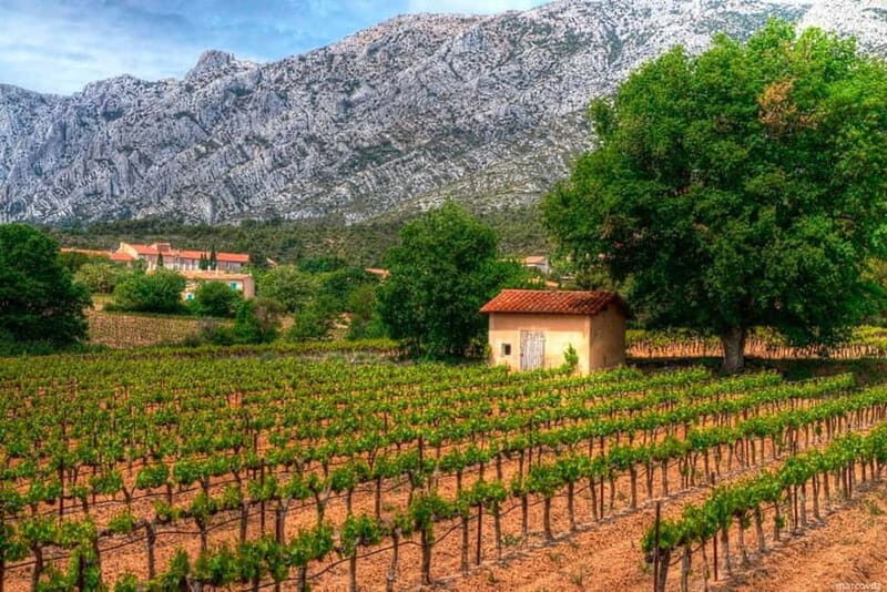 Coteaux d'Aix: Ste Victoire Wine Tour & Cezanne route - FAQ