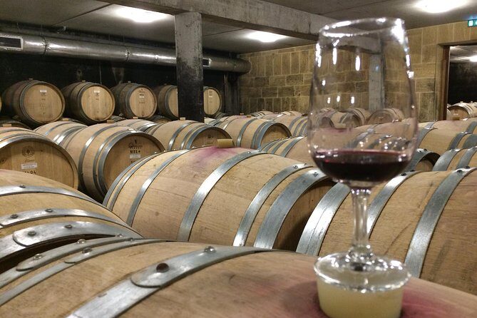 Cotes du Rhone Wine Tour (9:00 am to 5:15 pm) - Small Group Tour from Lyon - Key Points