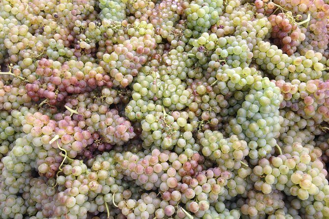 Cotes du Rhone Wine Tour (9:00 am to 5:15 pm) - Small Group Tour from Lyon - Frequently Asked Questions