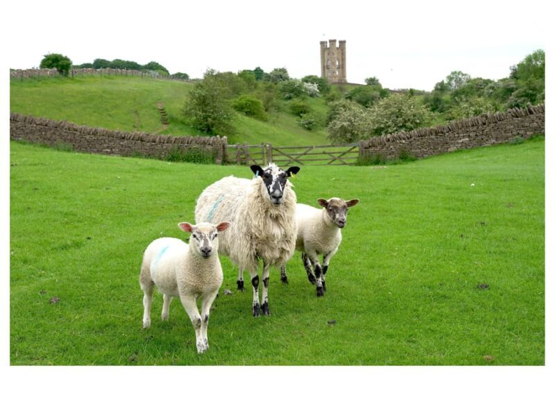 Cotswolds Villages & Countryside: Private Luxury Tour - Starting Point: Paddington