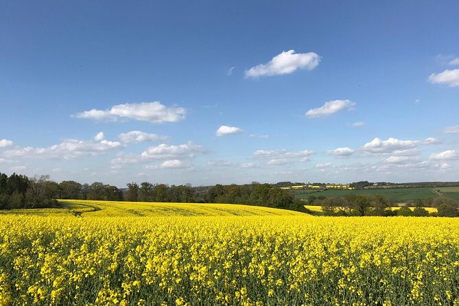 Cotswolds Villages Full-Day Small-Group Tour from Oxford - Who Is This Tour Best Suited For?