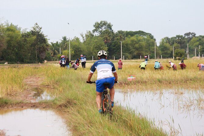 Country Cycling Experience and Homemade Lunch in Siem Reap - The Itinerary in Detail