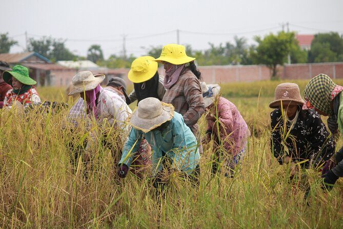 Country Cycling Experience and Homemade Lunch in Siem Reap - FAQ