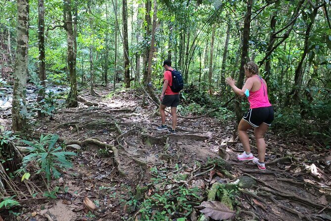 Country Side Cycling and treking to the waterfall (Private tour ) - A Closer Look at the Itinerary