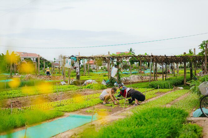 Countryside Adventure Private Tour by Electric Car - Who is This Tour Best Suited For?